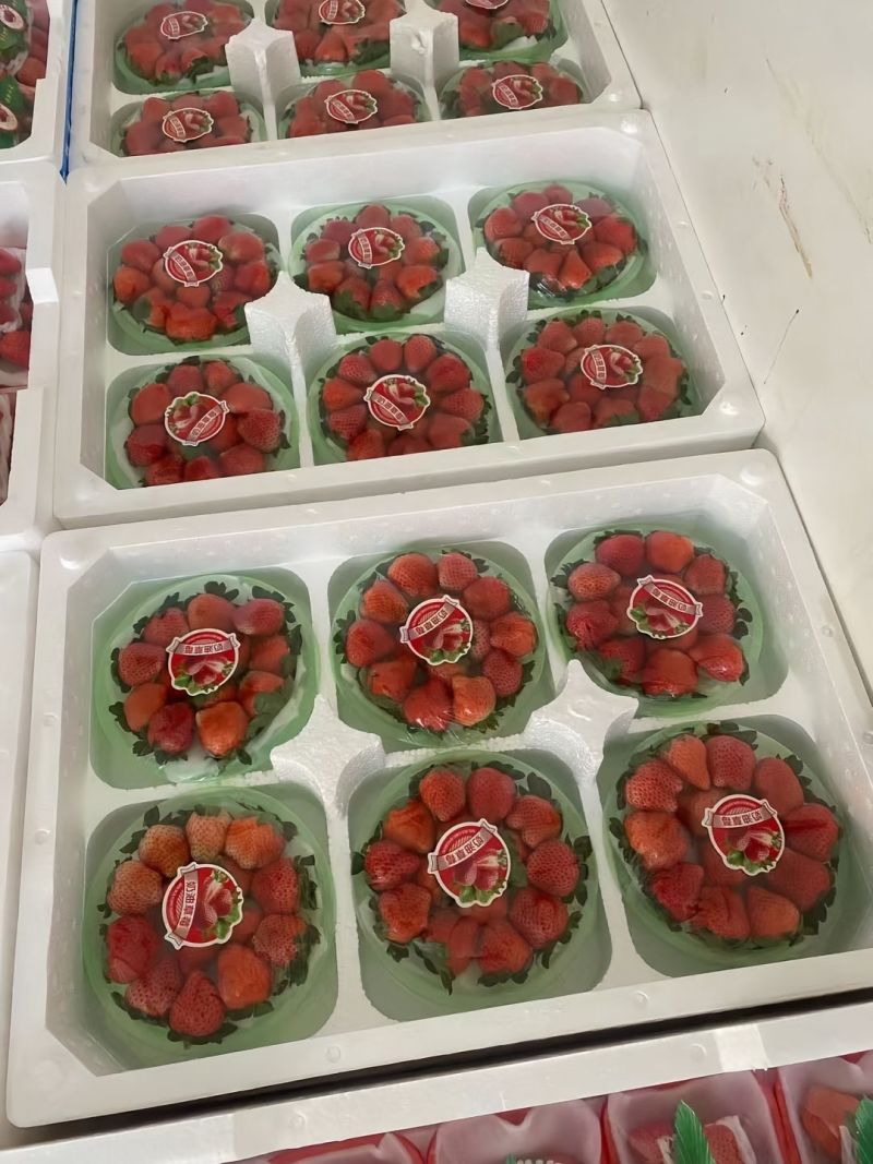 大量宁玉，妙香草莓供应。欢迎全国老板们长期合作