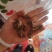 蝉壳
