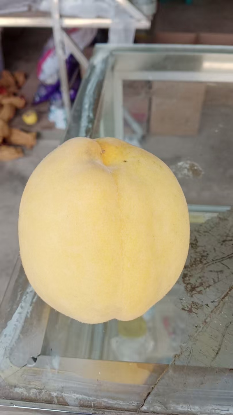 云南大关锦绣黄桃