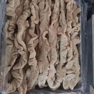 八成熟大肠山东腾惠更多客户的选择