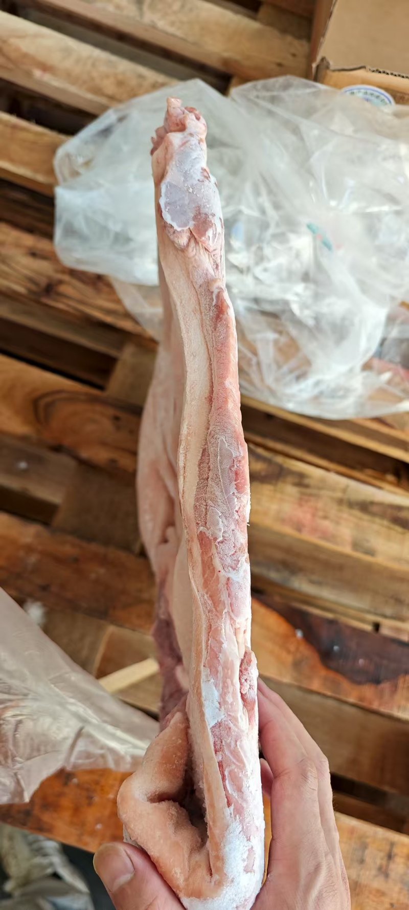 前上肉2-4片，现货35吨