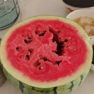 西瓜🍉