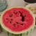 西瓜🍉