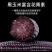 黑玉米黑甜糯639号