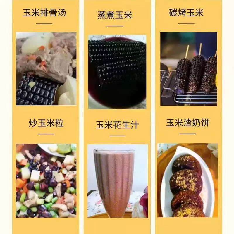 黑玉米黑甜糯639号