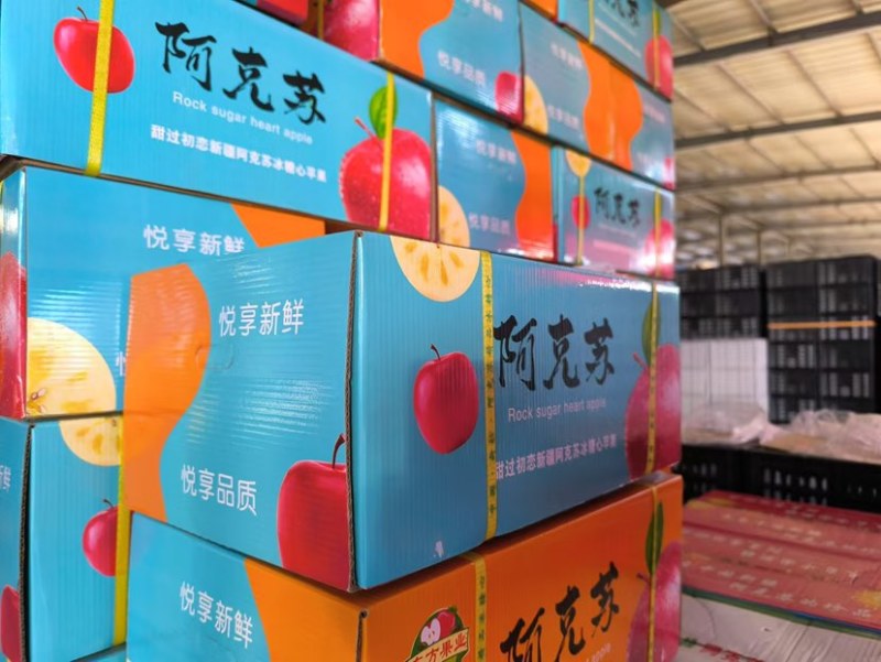 阿克苏冰糖心苹果300亩