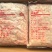 鸭脚筋7.5吨
