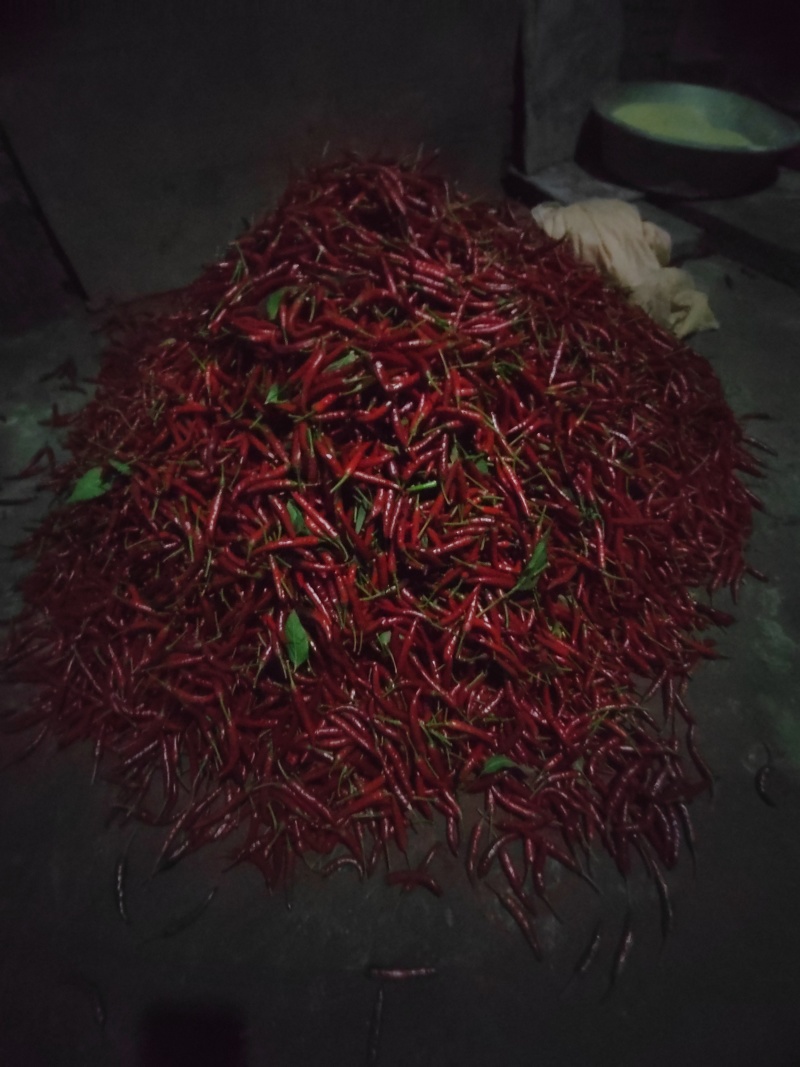 红辣椒🌶