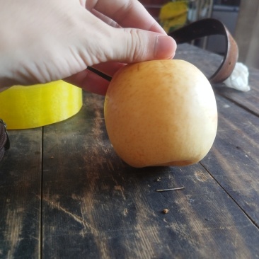 黄金梨