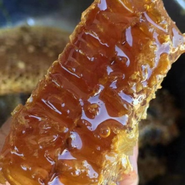 农家蜂蜜🍯