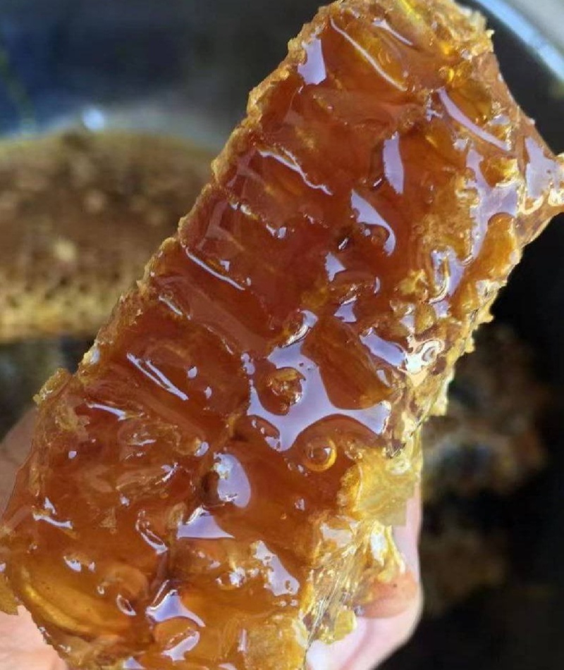 农家蜂蜜🍯