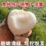 贵州地萝卜（***********）