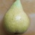 大连鸭梨