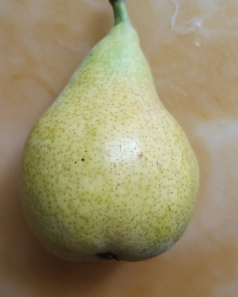 大连鸭梨