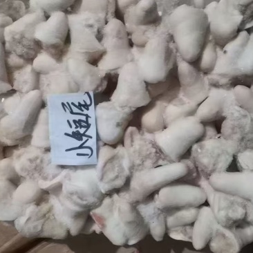 肥猪母猪长中短尾都有