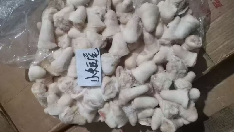 肥猪母猪长中短尾都有