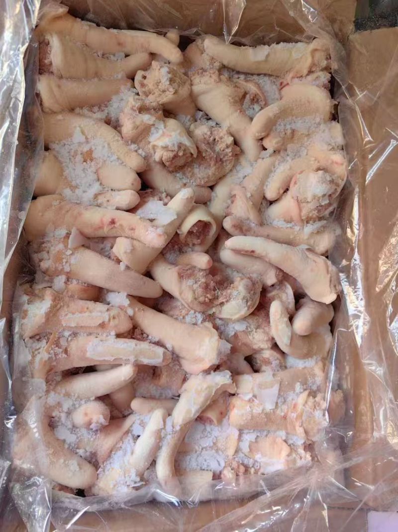 肥猪母猪长中短尾都有