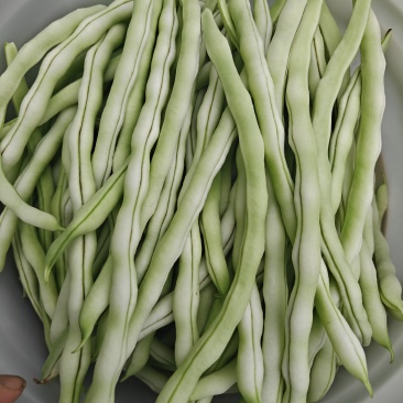 豆角
