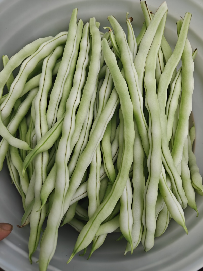 豆角