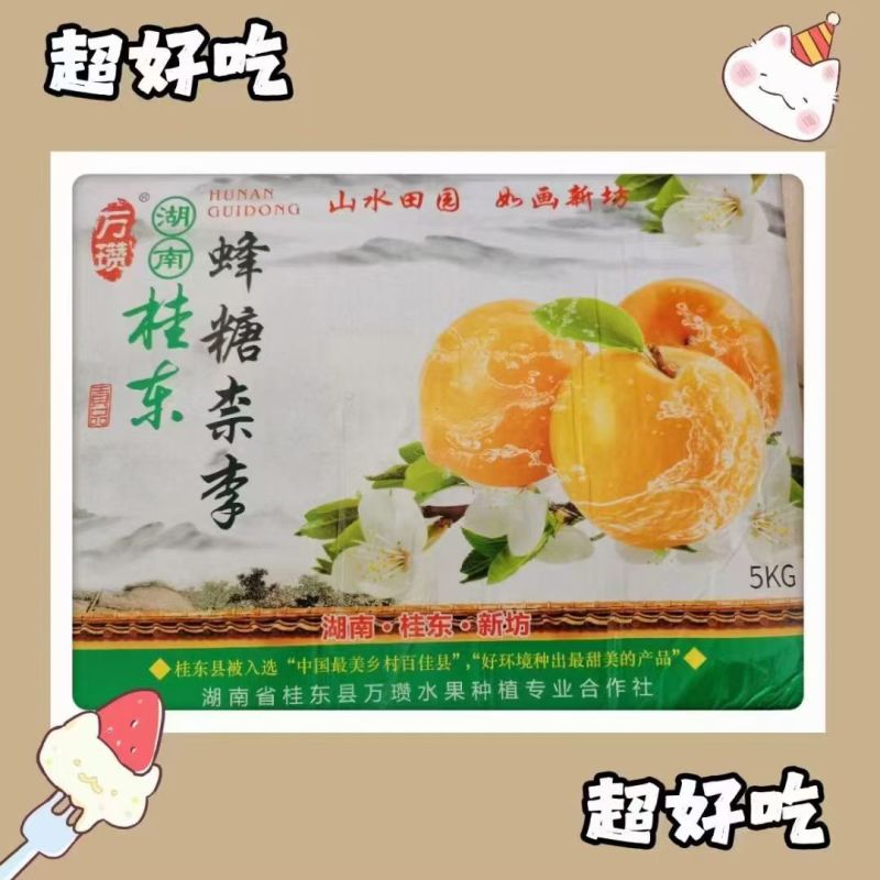 桂东丰糖奈李