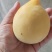套袋黄桃3两以上。