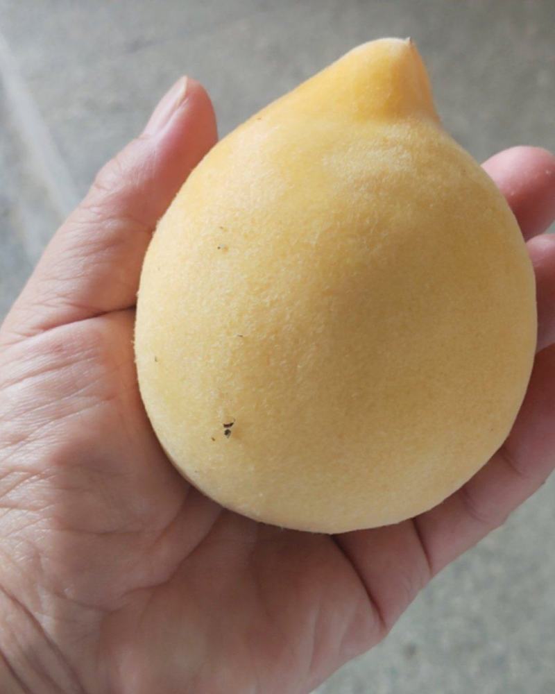 套袋黄桃3两以上。