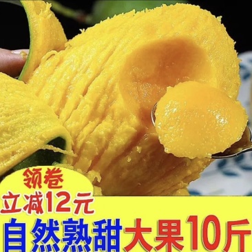 攀枝花凯特大芒果爆甜凯特芒果应季水果芒果