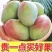 攀枝花凯特大芒果爆甜凯特芒果应季水果芒果
