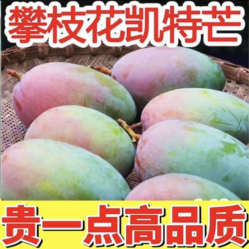 攀枝花凯特大芒果爆甜凯特芒果应季水果芒果