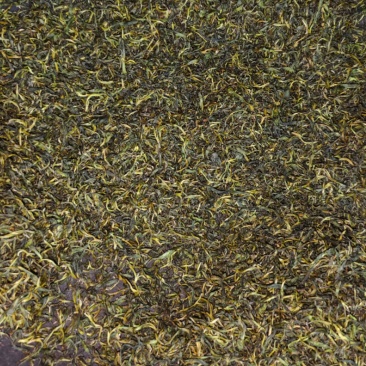 手工茶高山绿茶毛尖龙井茶