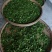 手工茶高山绿茶毛尖龙井茶