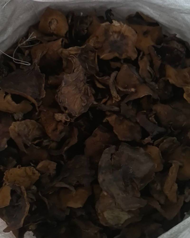 松蘑干肉蘑干