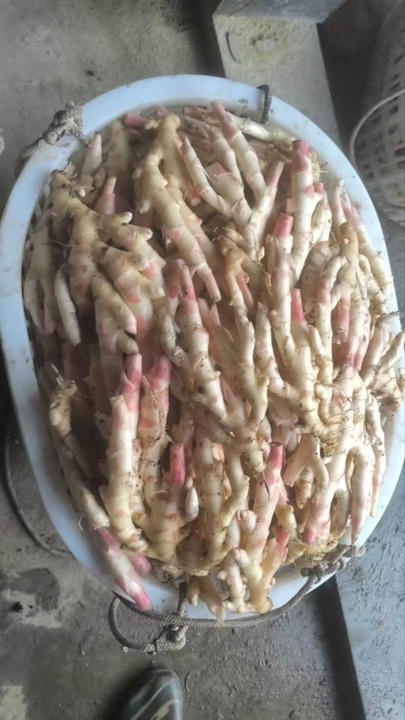 生姜