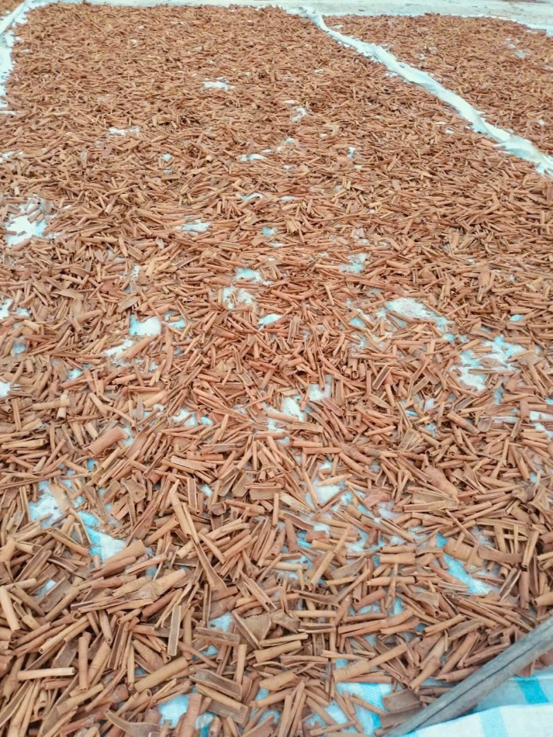 桂皮
