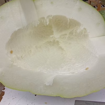 白皮冬瓜