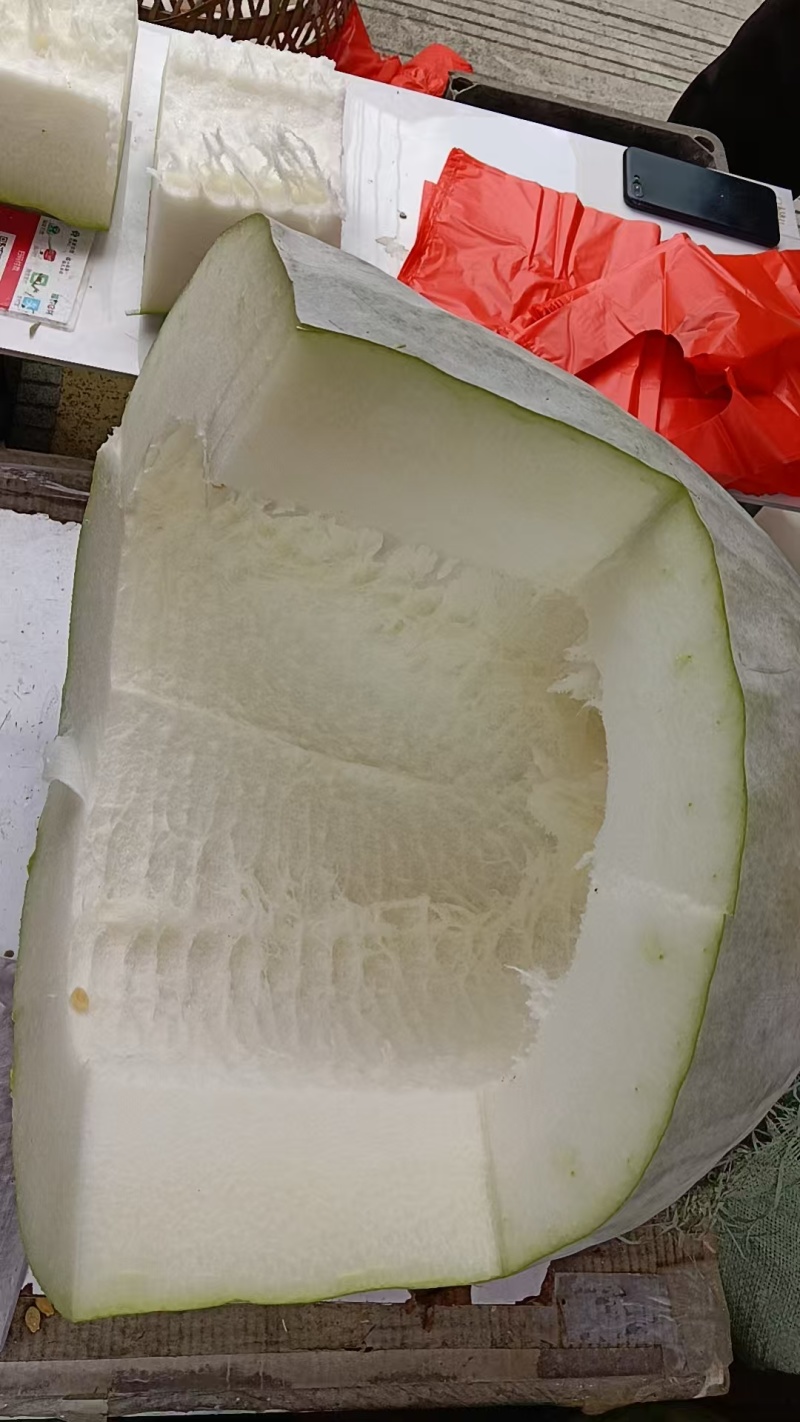 白皮冬瓜