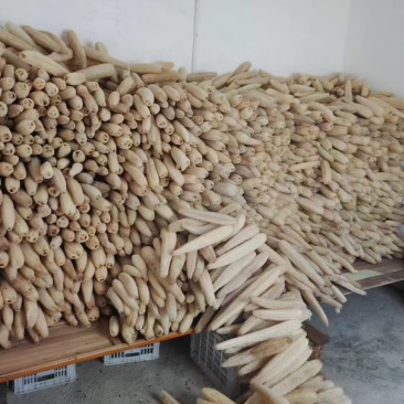 丝瓜络软瓜45一斤50斤起发