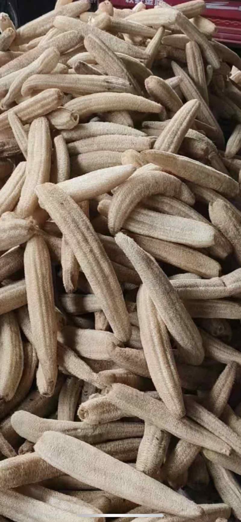 丝瓜络软瓜45一斤50斤起批