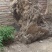 上水石