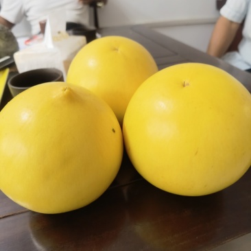 黄晶果