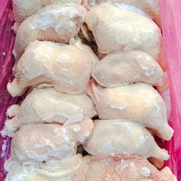 一级种鸡排腿老鸡排腿20吨左右