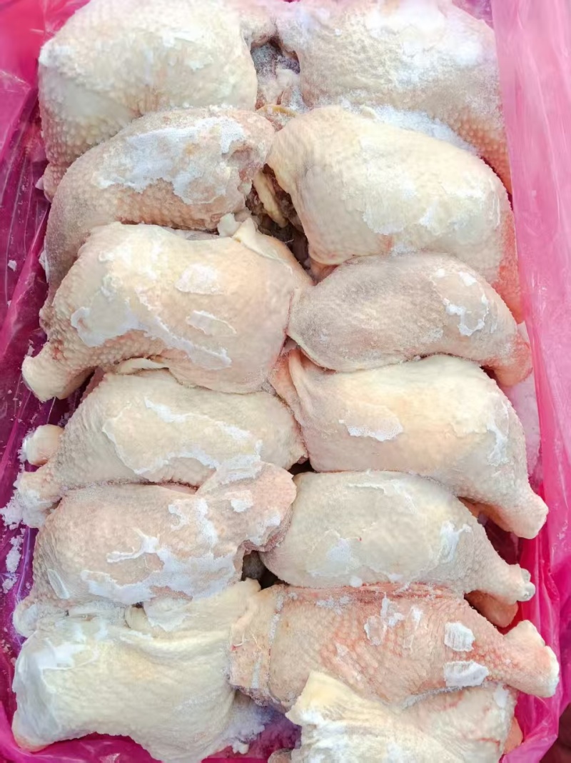 一级种鸡排腿老鸡排腿20吨左右