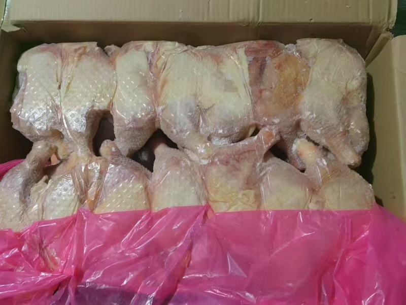 一级种鸡排腿老鸡排腿20吨左右