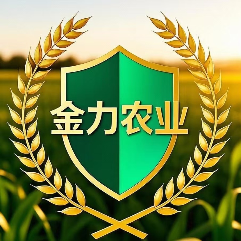 树仔菜