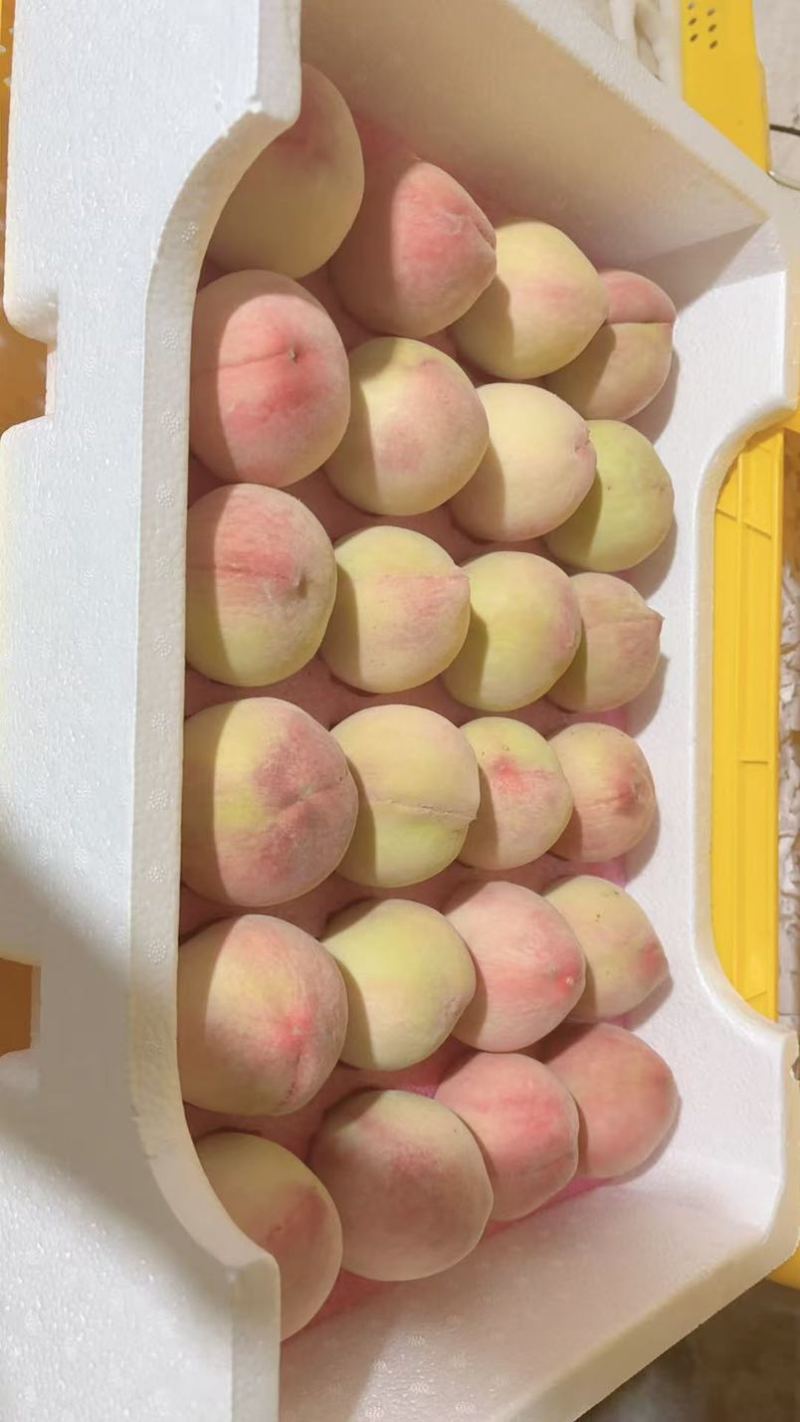 阳山水蜜桃