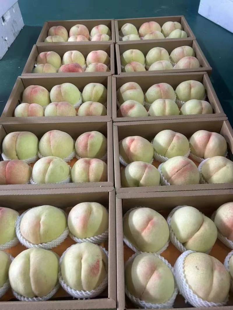 阳山水蜜桃