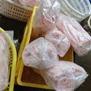 猪冻品，肥膘，板油，肚腩膘，后腿肉，3号肉，五花肉