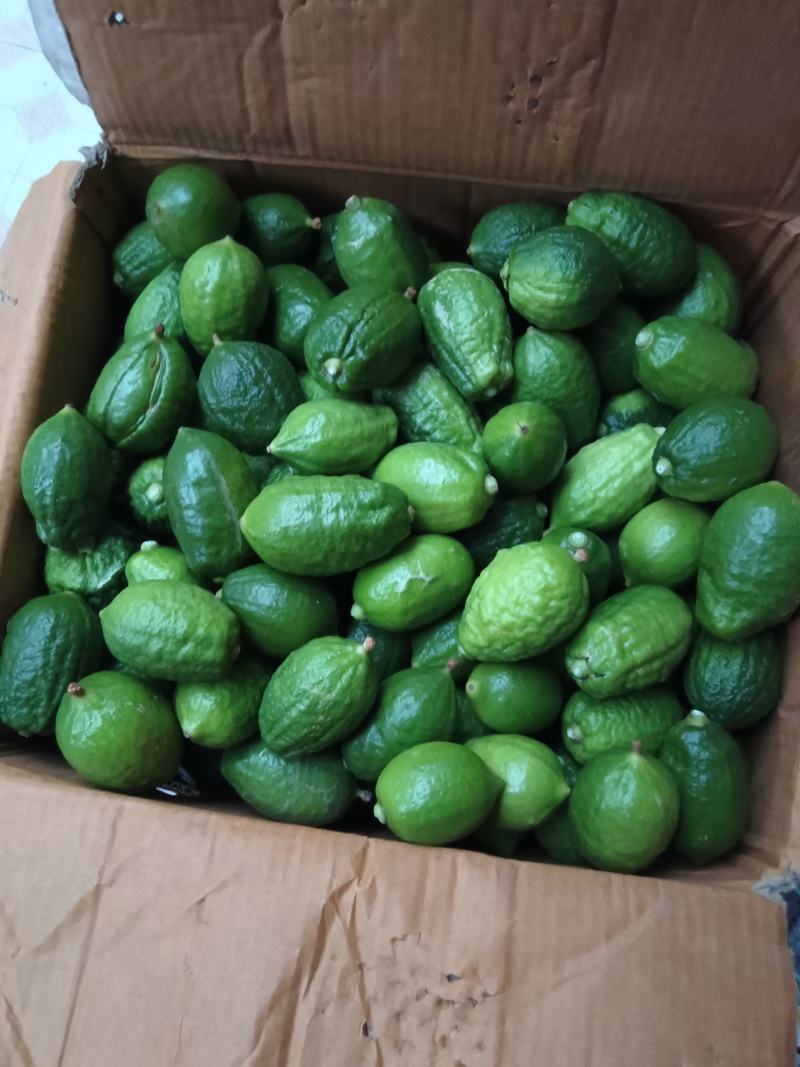香水柠檬