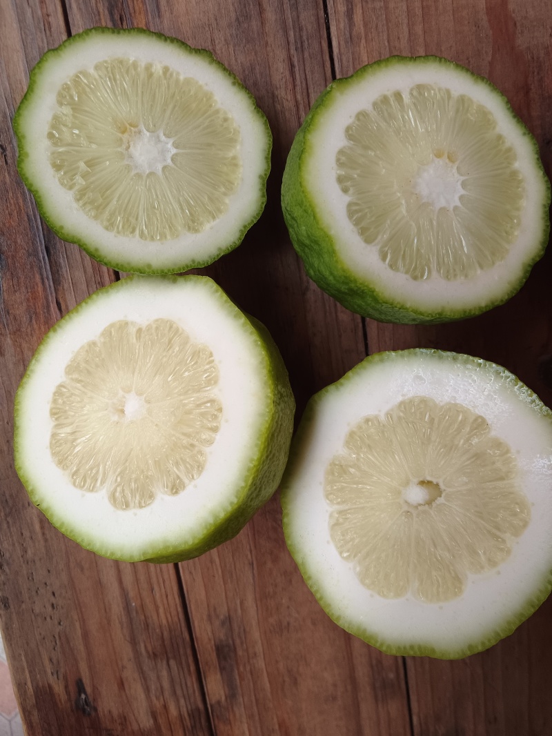 香水柠檬