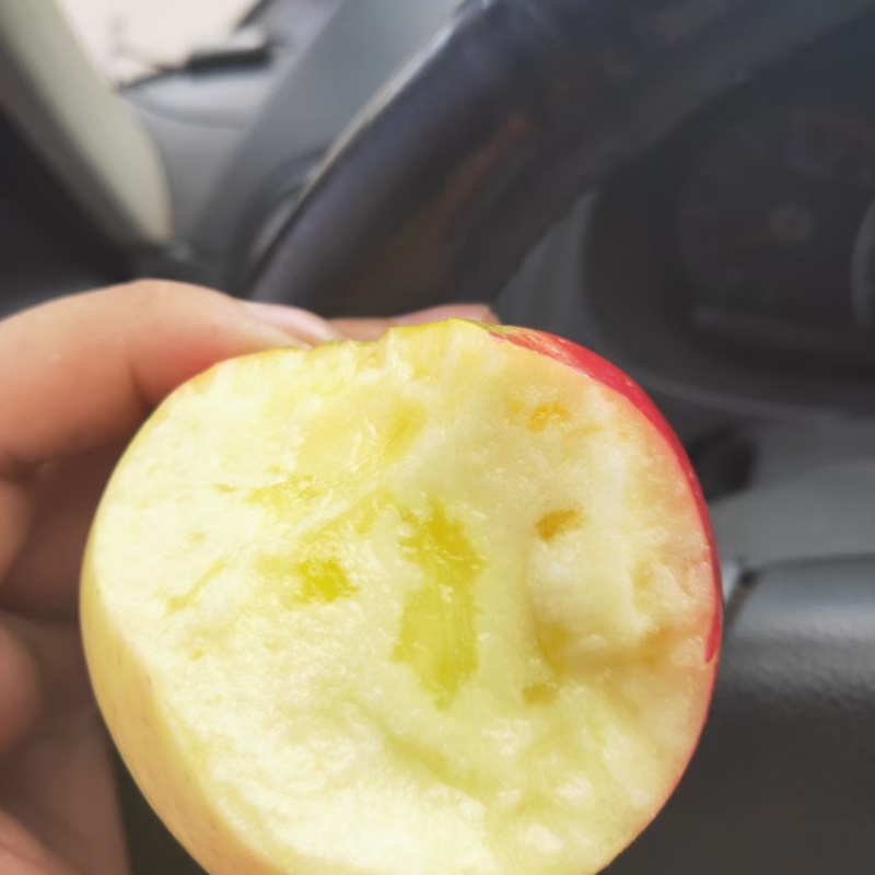 云南昭通糖心苹果